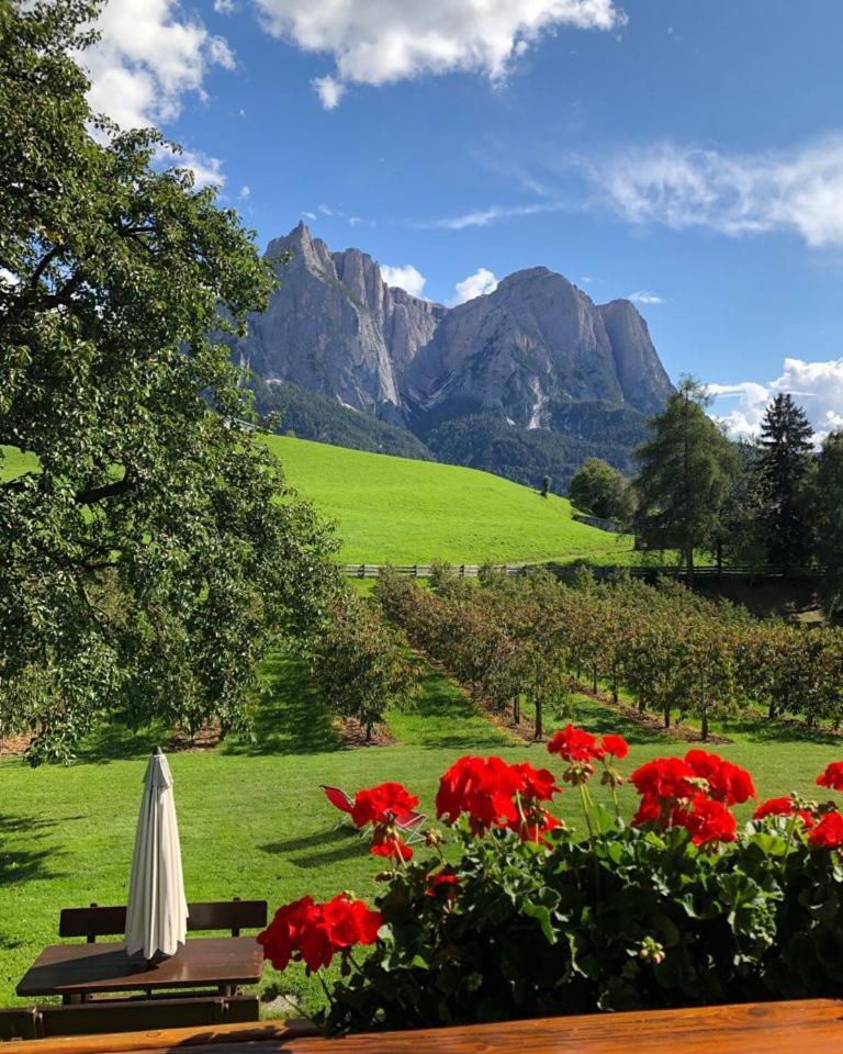 Kachlerhof Villa Castelrotto Dış mekan fotoğraf