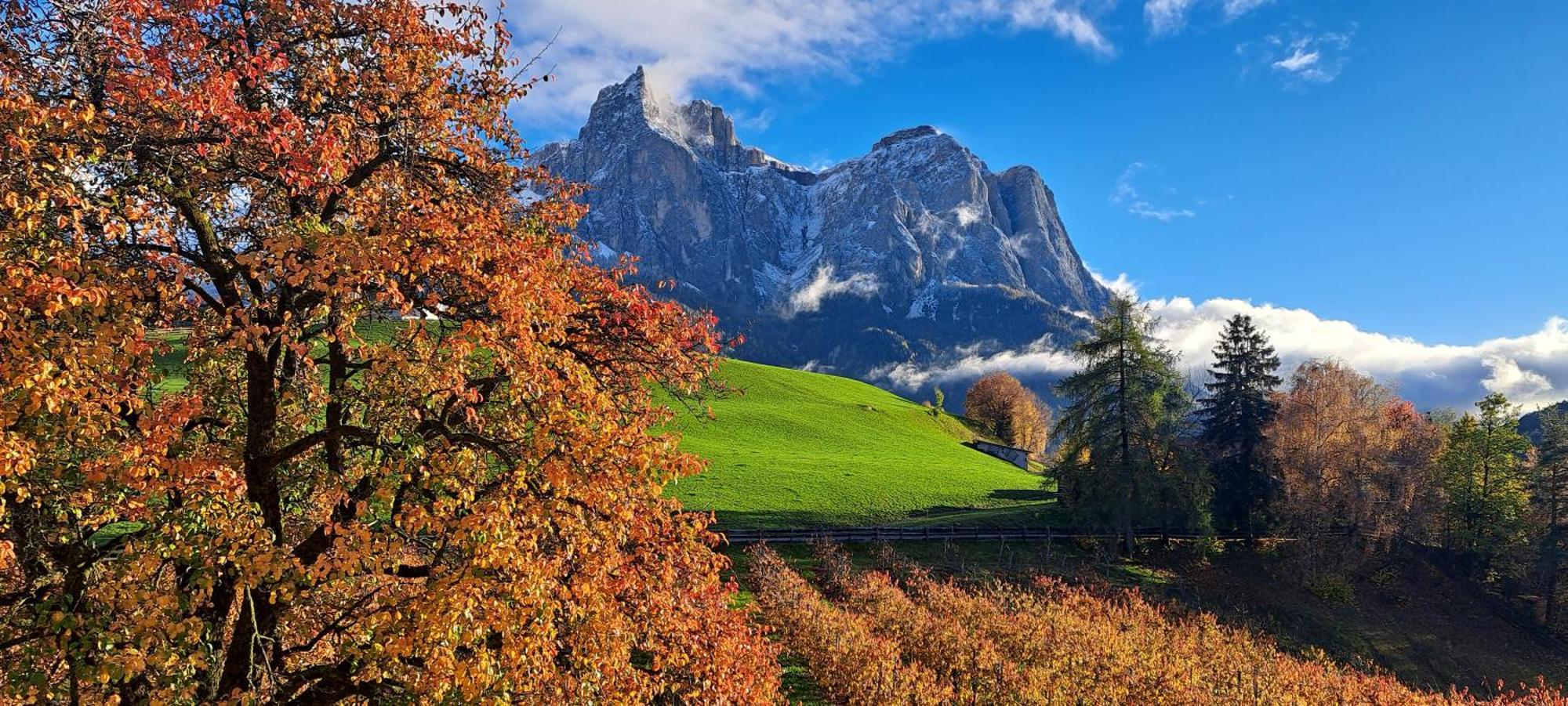 Kachlerhof Villa Castelrotto Dış mekan fotoğraf